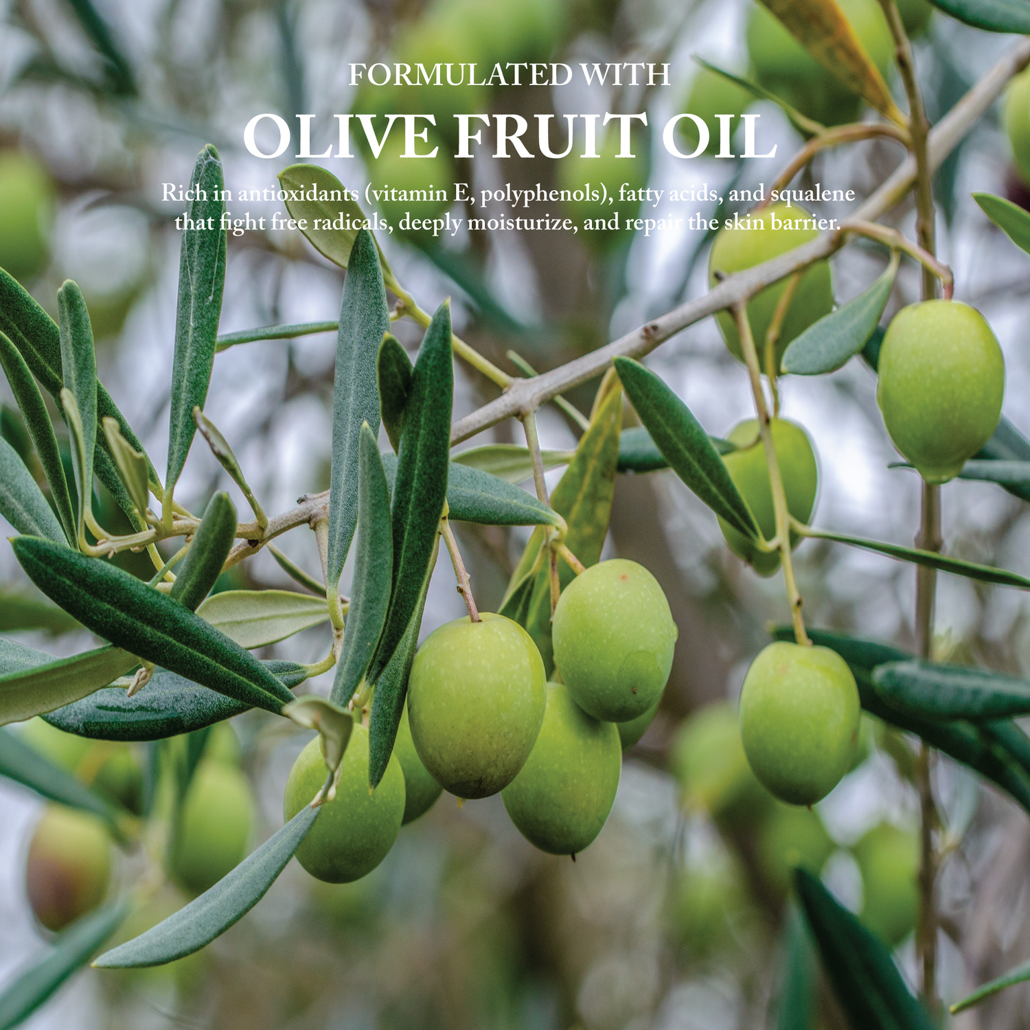 Unscented Hand Wash 500ml